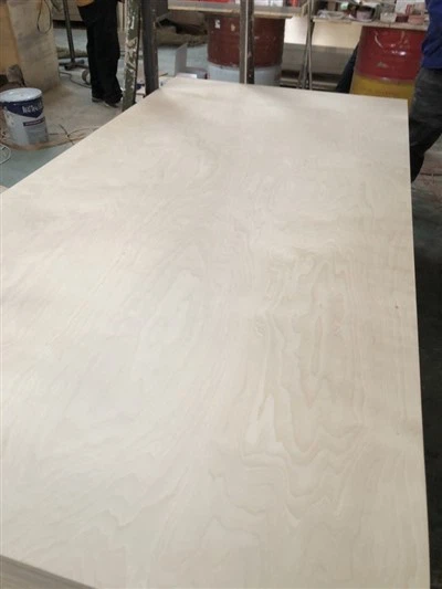 FSC certificiran vezan les iz brezovega furnirja - več-plast proti-deformacijam E0/E1/WBP lepilo 3-30 mm